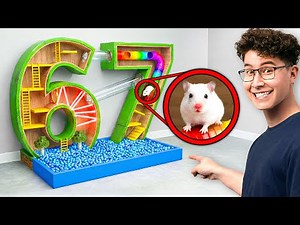 Extreme Hamster Maze Challenge!