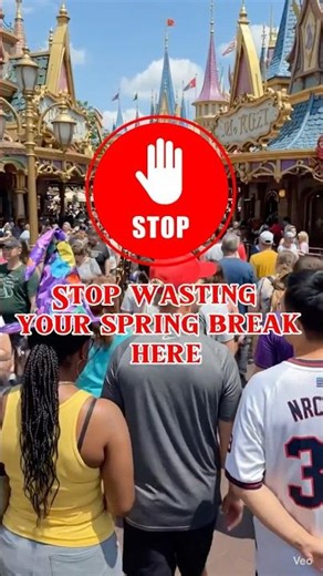 The spring break getaway for families with kids #travel #family #holiday #trip #shorts