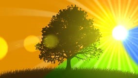 4 Seasons (Animated Background) Stock Footage - Video of shot, spring: 41369000