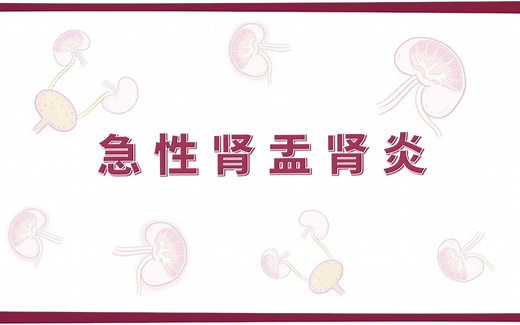 【Osmosis】急性肾盂肾炎 Acute Pyelonephritis（中英字幕）