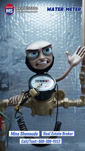 How to Read a Water Meter Like a Pro 💧 | Save Money on Your Water Bill!