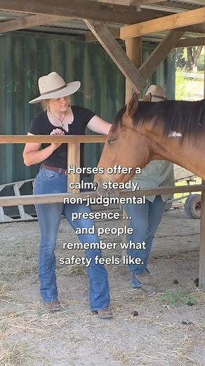 Equine-Assisted Therapy, simplified 🐴🌿 | Equine Assisted Therapy Australia RTO no:41482