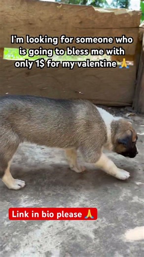 Kindly share anything you can please with me please 🙏 #usa #fyp #usashorts #uk #australia #europe