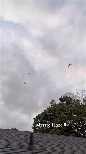 Man… just when life hits me hard, the Universe reminds me they have my back 🌬️ #crows#witch#talktome#universe | Mystic Haze