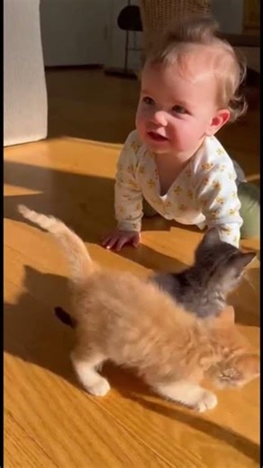 A Cuddle Party with Tiny Paws
