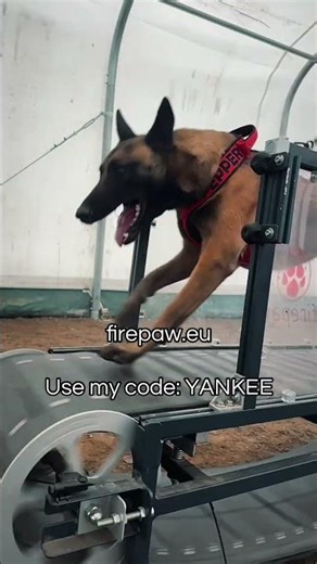 Firepaw treadmill💪😎 #dogtreadmill #firepaw #hungary #affiliatemarketing