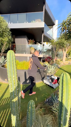 The grass is greener on the other side.. #colinhyettdesign …. #palmspringsstyle #beverly #beverlyhills90210 #hollywood #garden #inspiration #with #wow #factor #of #the #morningtonpeninsula | Colin Hyett Design