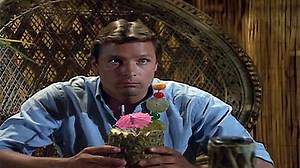 Watch The Fall Guy Season 1 Episode 10 - License to Kill (1)