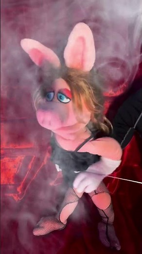 “All That Jazz” from Chicago: The Musical #allthatjazz #chicago #chicagothemusical #misspiggy