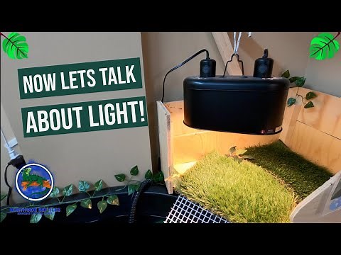 Red Eared Slider: Turtle Heating and Lighting Guide