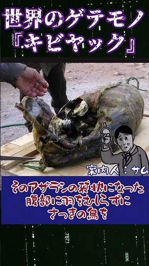 【ゆっくり解説】世界のゲテモノ料理『キビヤック』 #ゆっくり解説 #ゲテモノ#キビヤック#shorts
