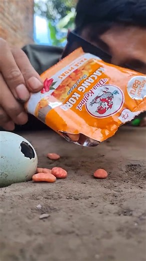 red card the offense for a millipede for coming out of the egg millipede shorts 1280 #shortsfeed #Insects #Bugs #Entomology #InsectsofInstagram #BugLife #MicroWorld #NaturePhotography #Wildlife | The Mora