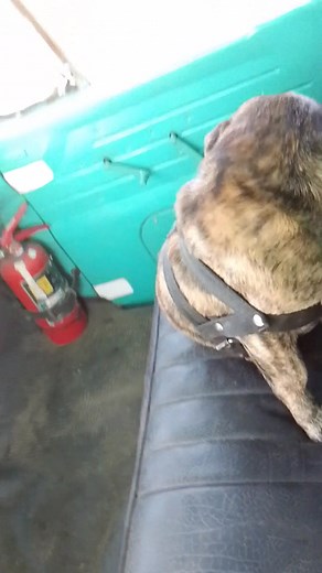 Alberto Castillo on Reels