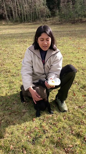 Cómo alimentar a corderos con mamadera