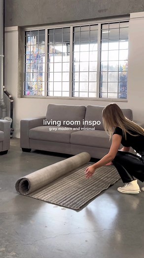 Modern Grey Living Room Decor Inspiration