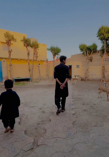 Discover Jhir Mir Wala Paatai Wagga Dance