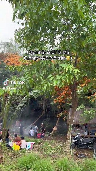 Suối Tà Má hoa trang rừng đang nở rộ nhé cả nhà #vĩnhthạnh #travel #cảnhđẹpthiênnhiên #canhdepvietnam #suoitamavinhthanh