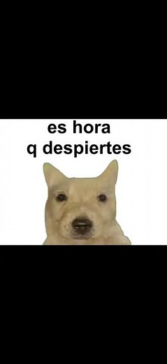 ¡despierta!#meme