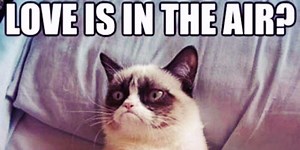 The 21 Best Grumpy Cat Memes And Quotes About Love And Life