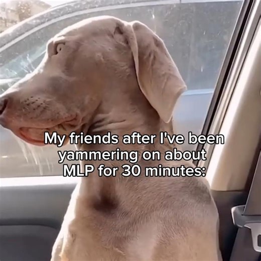 Insert caption here #mlpedit #mlp #mlps #mylitlepony