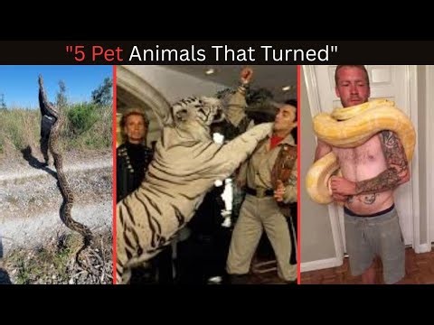 5 Shocking Cases of PET Animals That Attacked Their Owners