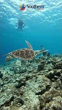Best Australia Tour Package - 11D/10N - Complete Travel Guide #southerntravels #australiatravel