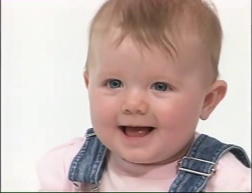 Bee Smart Baby - Baby Bumblebee - Vocabulary Builder Volume 1 (1999)