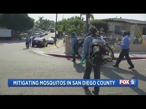 Mitigating mosquitos in San Diego County