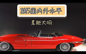 BMS国内外水平差距大吗