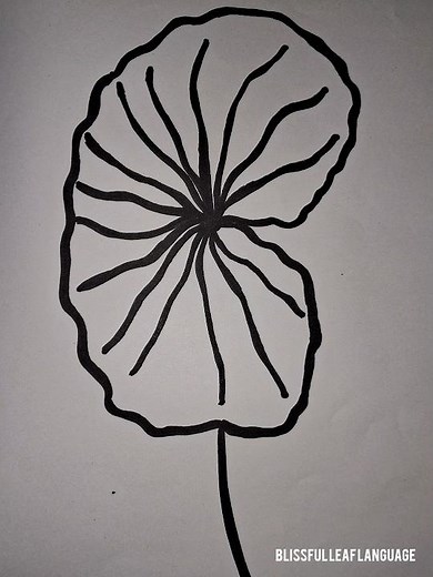 Beginner’s Guide: Lily Pad Sketch Made Simple