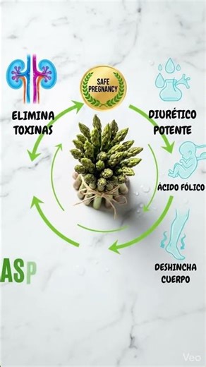 ESPÁRRAGOS: El diurético que "elimina toxinas" + ácido fólico CRÍTICO embarazo 💧⚕️