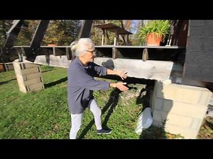 Dordogne: she built a triangular house for 35,000 euros