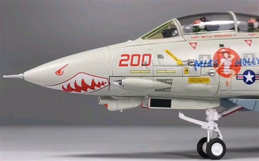 Calibre Wings72 米国空军格鲁曼F-14雄猫战机