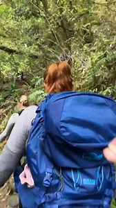 Hiking in New Zealand | Kraig Adams