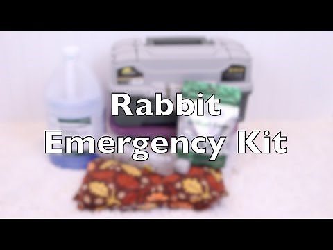 Rabbit Emergency Kit
