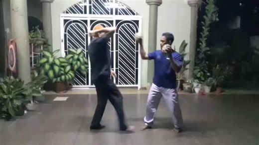 Exploring Seni Silat Petir Techniques