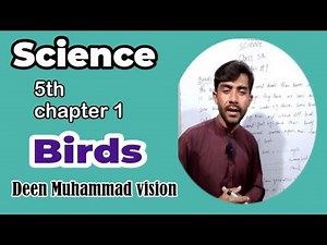 Class 5 Science Chapter 1 | Birds | پرندے | Fifth Class Science Urdu/English#youtube
