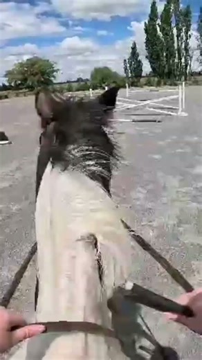 jump lesson, full video on channel 😋