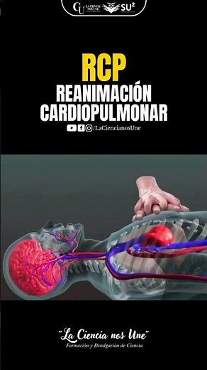 Reanimación Cardiopulmonar (RCP)