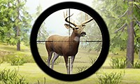 Play Contract Deer Hunter | Free Online  Games. KidzSearch.com