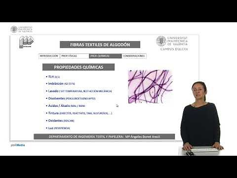 Fibras textiles de algodón | 16/28 | UPV