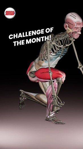 134K views · 2.2K reactions | Challenge of the Month: Shrimp Squat...