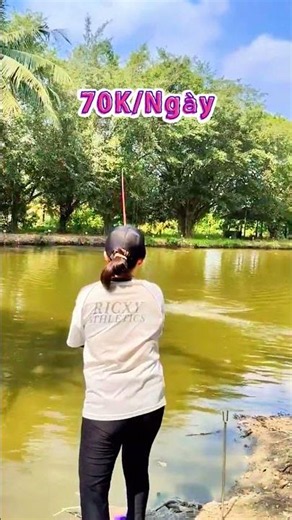 🎣 $70K/Day Fishing Spot Review – Plenty of Fish, Great Action!