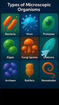Types of Microscopic Organisms | Biology Facts #shorts