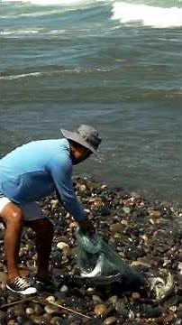 The Sea Was Rough… But This Fisherman Made an Incredible Catch
