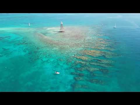 Sun, Sea, and Freedom: Your Key West Boat Rental Adventure Starts Here!