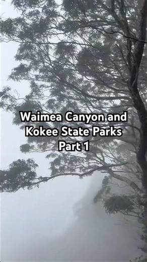 Waimea Canyon and Kokee State Parks — Part 1 | Kauai, Hawaii
