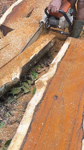 1.9M views · 34K reactions | Bahan tiang rumah #merbau #STIHL #chainsaw | Angelo M P | Facebook