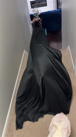 Dobby the House Elf and His Enchanted Cape