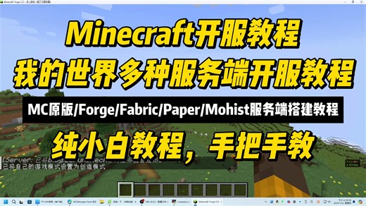 我的世界1.21多种服务端开服教程，原版/Forge/Fabric/Paper/Mohist...，Minecraft开服教程